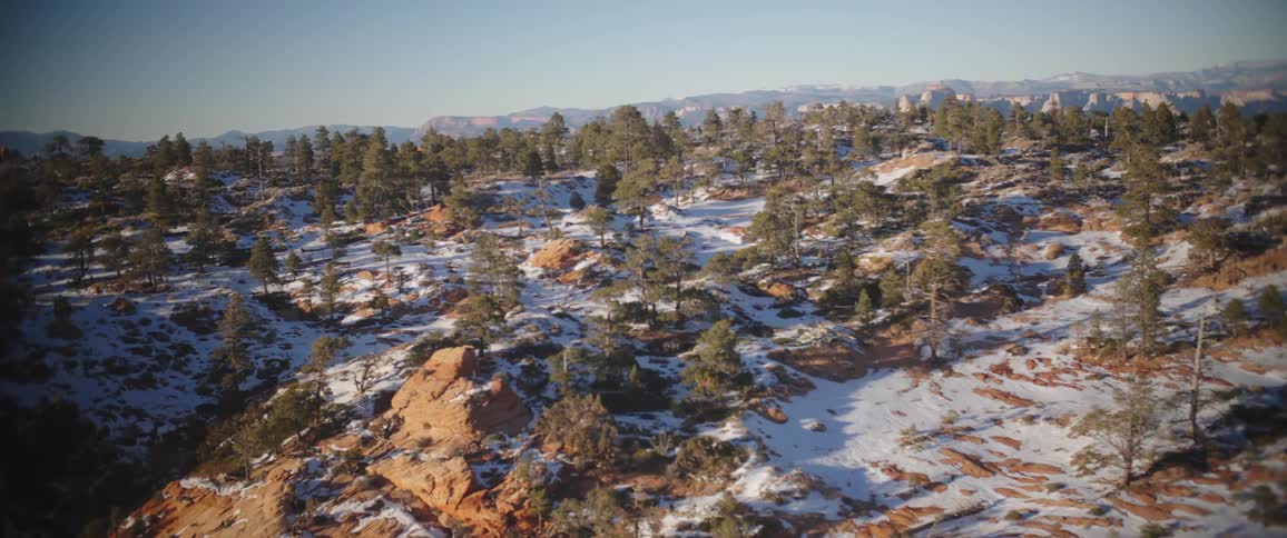 Aerial panorama of rocky mountains with vegetation and snow