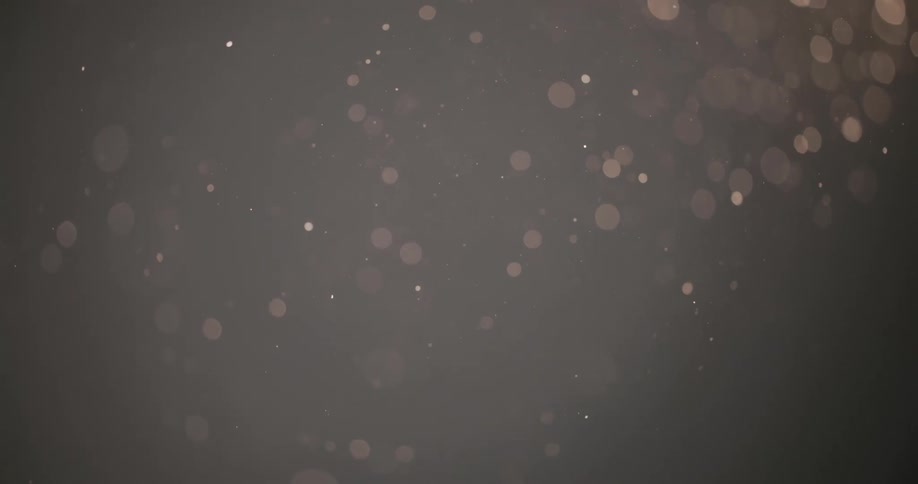 Bright flakes on the gray landscape