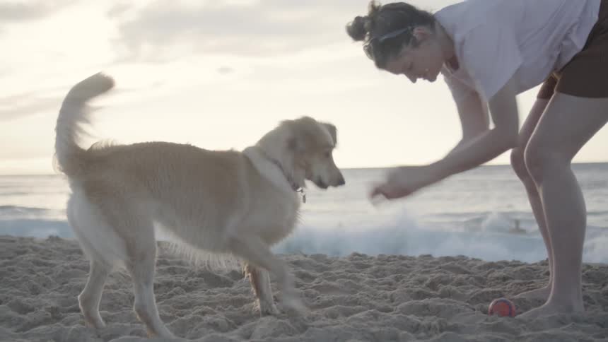 Woman on the beach sand playing with a ball with her dog