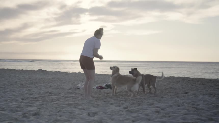 Woman on the beach sand playing with her two dogs