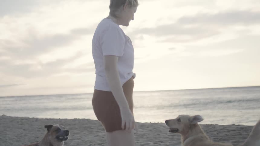 A woman playing with two dogs on the beach