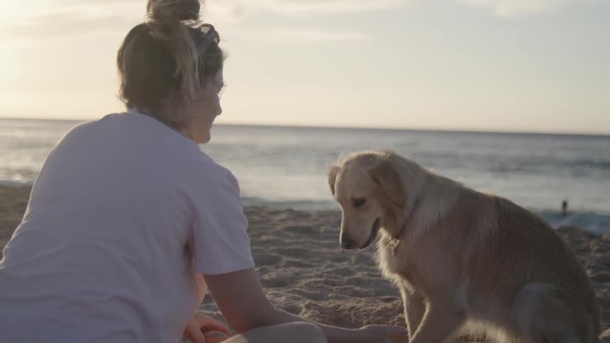 A lady and a dog sitting by the beach