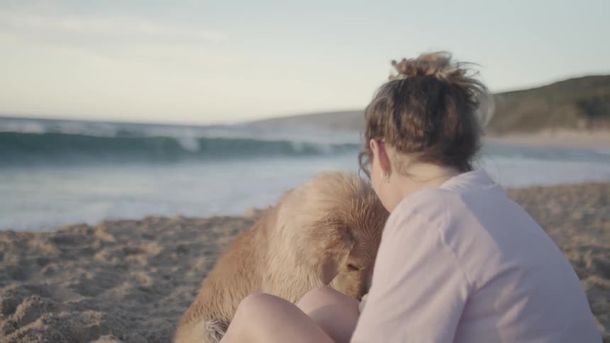 A person and a dog sit on the beach and watch the waves
