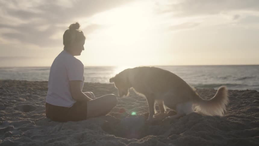 Woman partially silhouetted against sun sits on beach and plays with two dogs