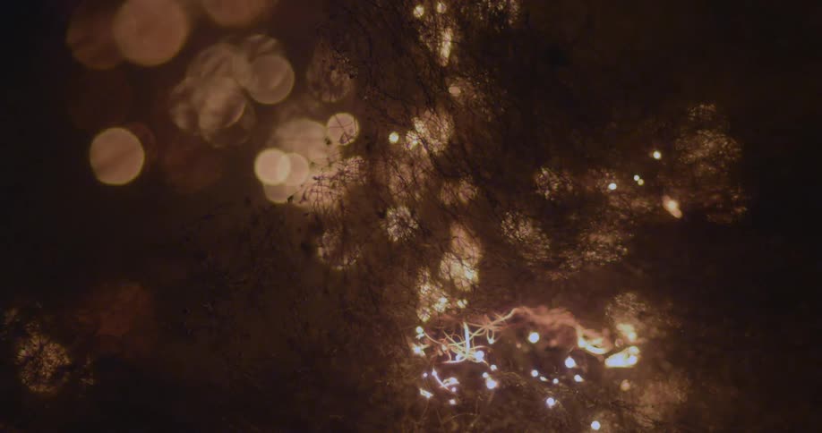 Flames engulf thin fabric and spark