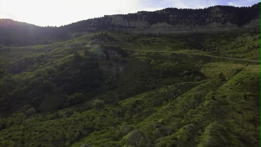 A vast green landscape lines a mountain road