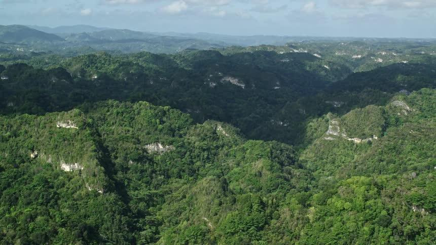 Aerial panorama of mountain ranges covered by forest trees