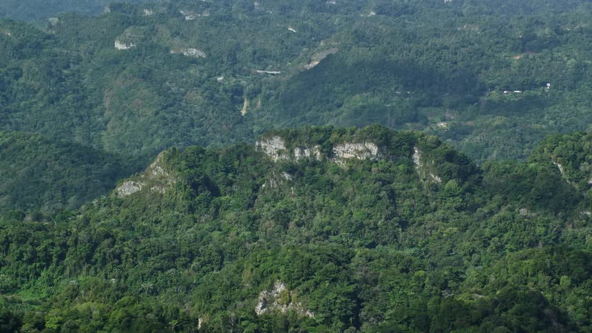 A rocky peak from a mountain range covered by a forest