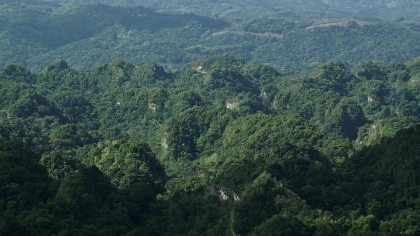 The mountains are covered with green