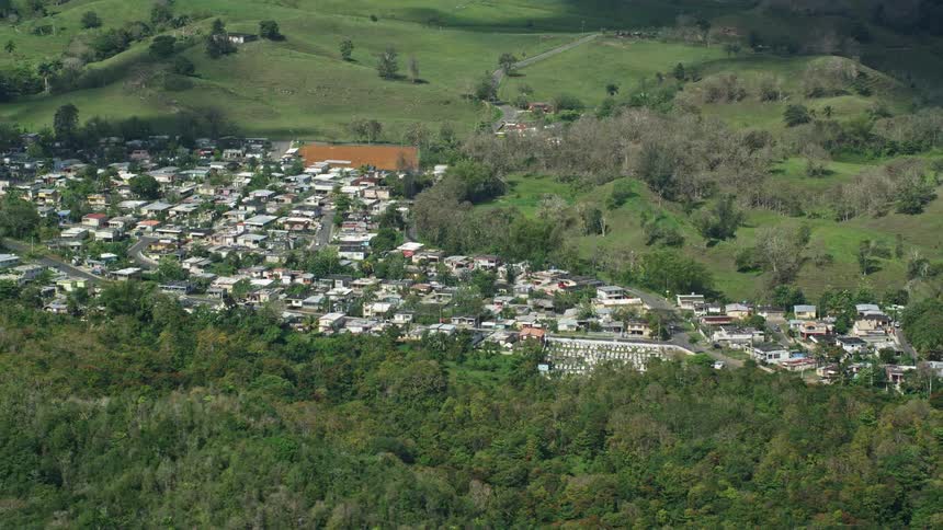 A small town sits between a forest and open grass areas