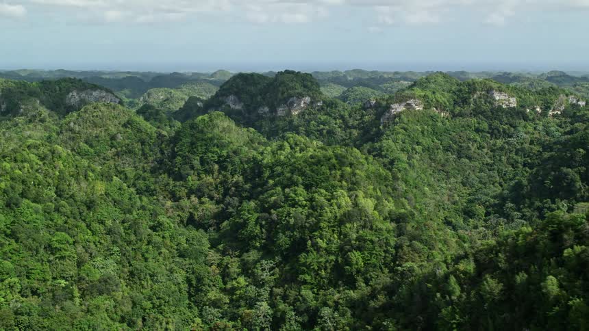 Large mountains covered in thick forests