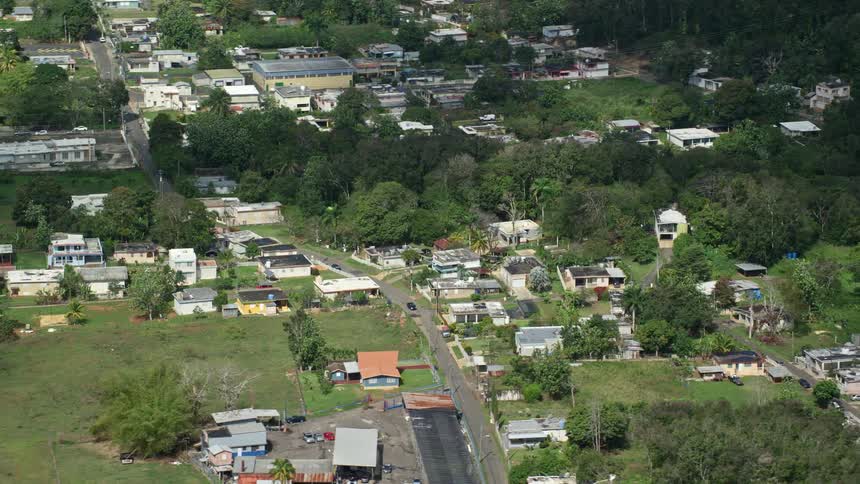 A rural residential area with many small houses and a large forest of trees