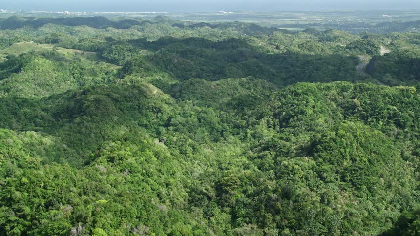 A region with many forests of green trees on top of hills