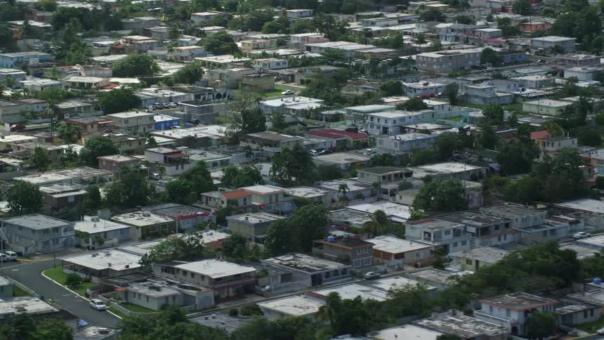 A suburb with many small houses and several trees scattered around