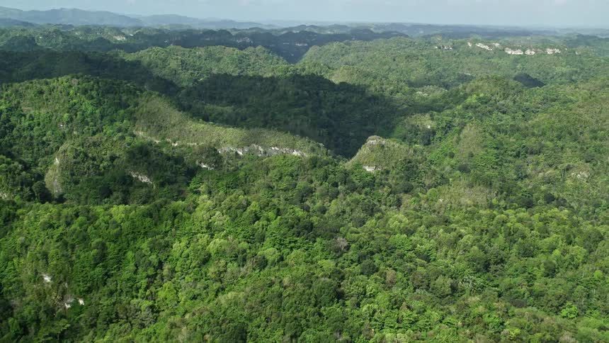 Aerial panorama of a mountain range covered in forest vegetation