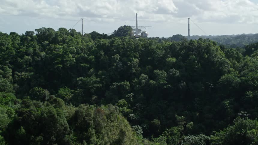 A dense forest of trees with very green leaves behind a tall structure