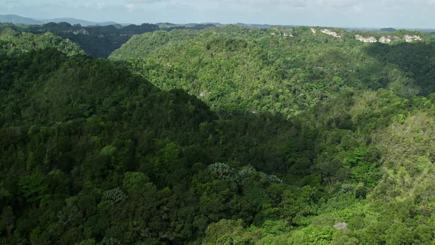 Aerial panorama of forests under mountains