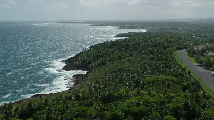 A bay with a tropical island full of palm trees and buildings facing the sea
