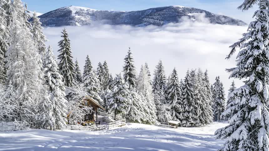 Landscape of snowcovered conifers and a residence in the middle of a mountain during the day