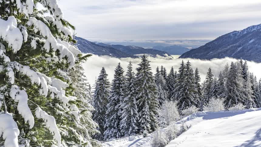 Panorama of conifers and mountains covered by snow and with clouds passing by