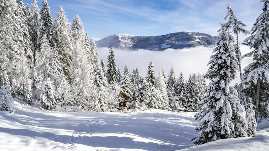 Cabin in the midst of a coniferous forest in the snowcovered mountains