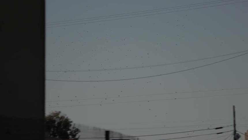 Telephone wires span across a city street