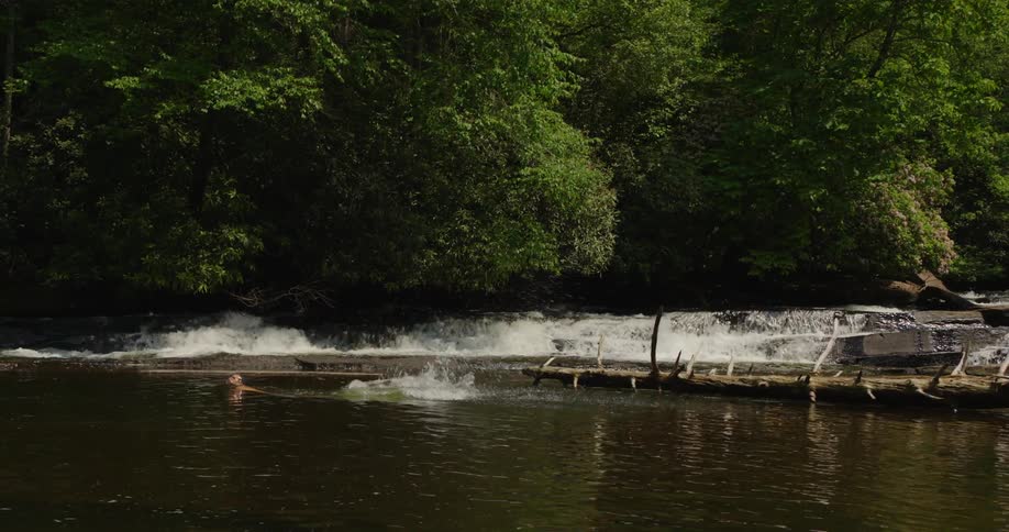 Man jumping from a log towards a lake and diving in