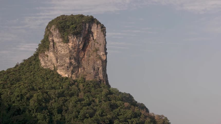 A tall vegetation covered cliff