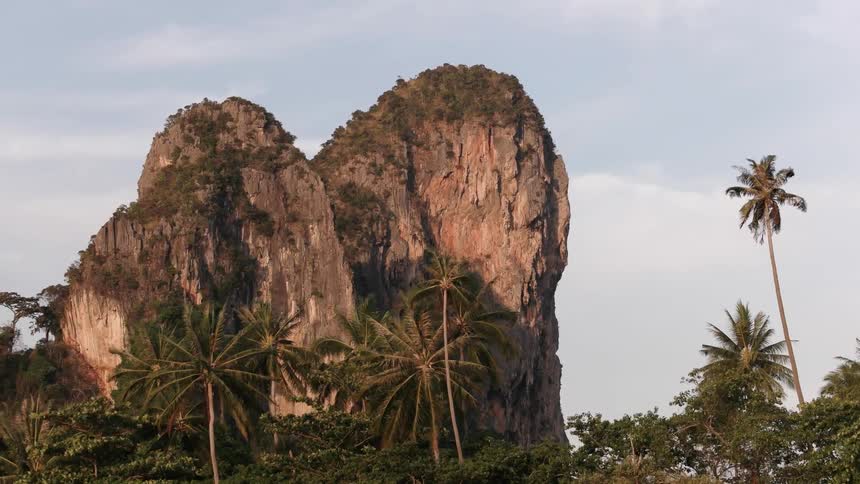 Tropical cliff rocks surrounded by palm trees