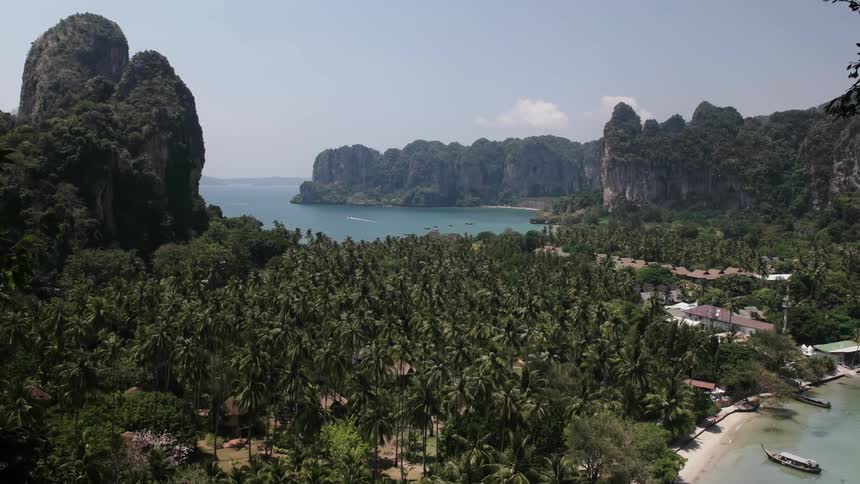A forest near a body of water and mountains