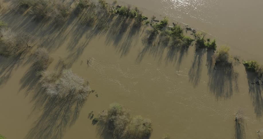Aerial panorama of a tributary river amidst vegetation
