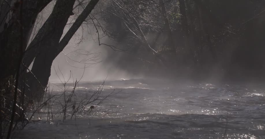 Sunlight shines through the mist over a river in the forest