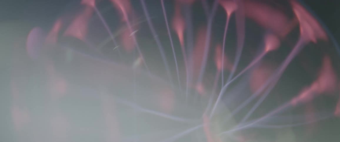 A close up of a plasma ball showing the electric arcs