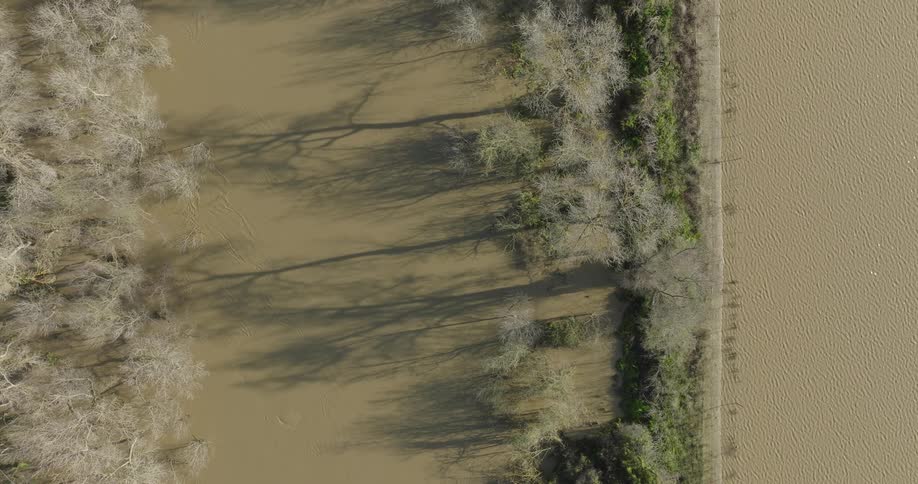 The swamp is green and full of water