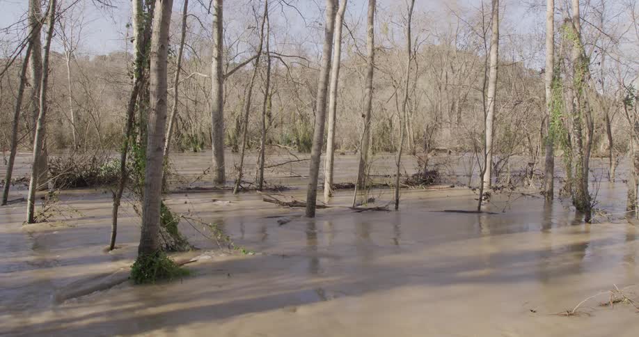 Food waters flow through the forest