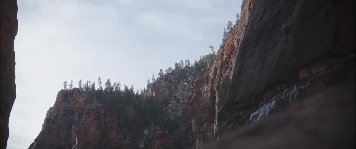 A rocky cliff with snowy trees during the day
