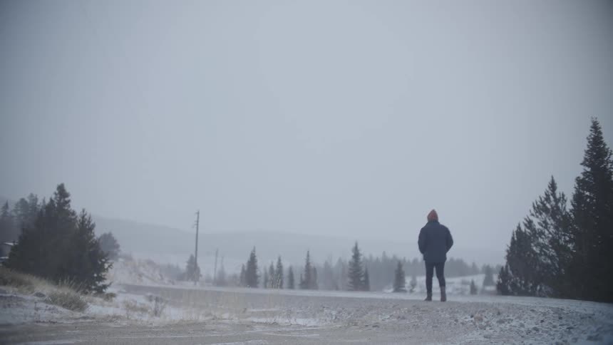 A man walking along a rural road on a snowy and foggy day
