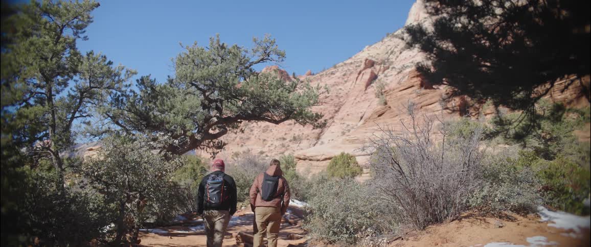 Two men with their backs turned and with backpacks walking through a natural environment with new canyons
