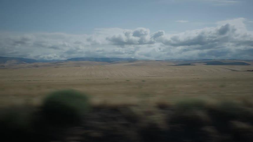 A field of grass that stretches to the horizon and there are big clouds in the sky