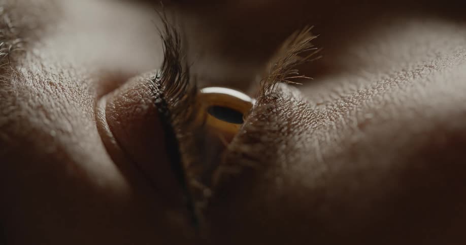 A female in the darkness opens her eye as light shines upon her face