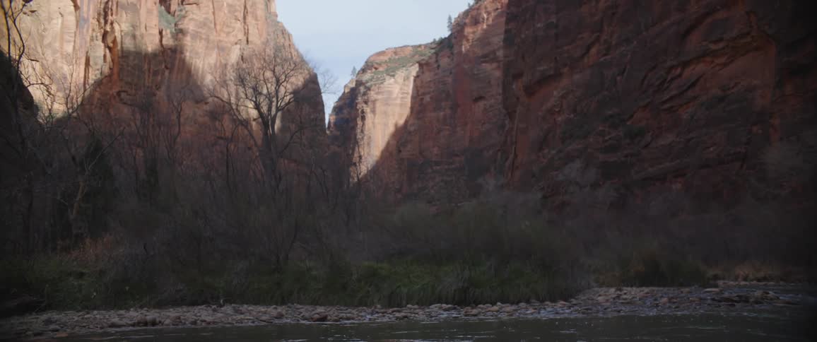 A river flows at the base of rugged cliffs with dead trees in the coastline
