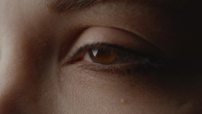 Closeup of a brown human eye