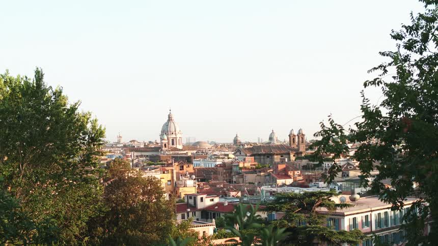 Trees surround a view of a city