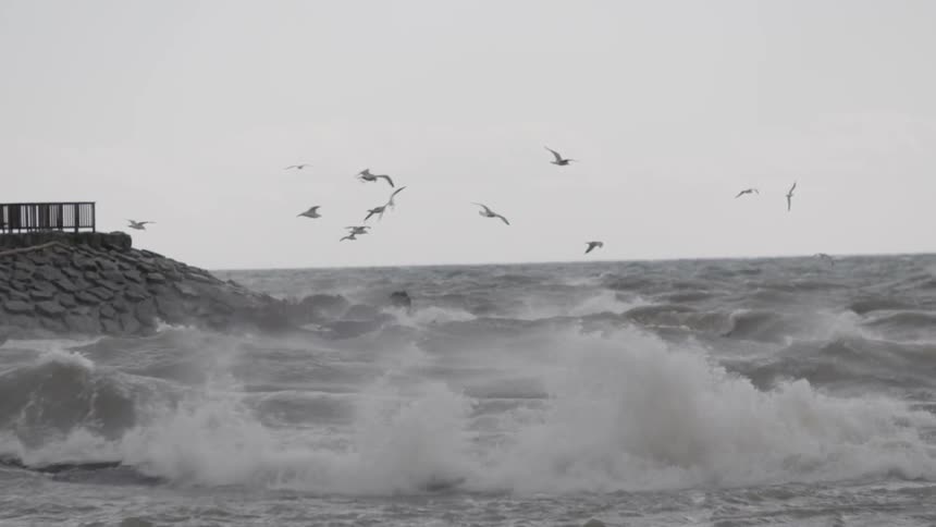 Seagulls flying above the waves as they crash over a jetty