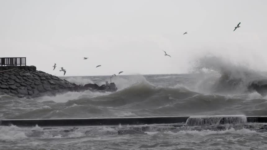 Violent waves crashing in with birds flying overhead