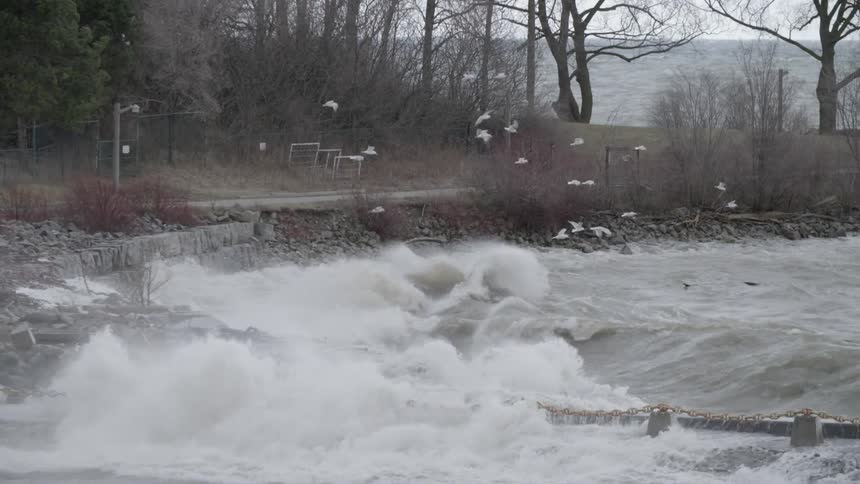 Birds fly above waves crashing ashore