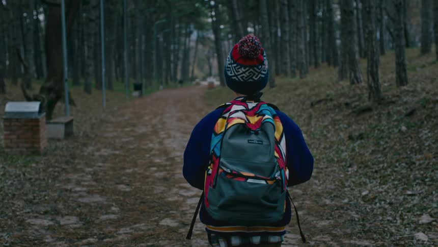 Young little boy walking along a trail in a forest park