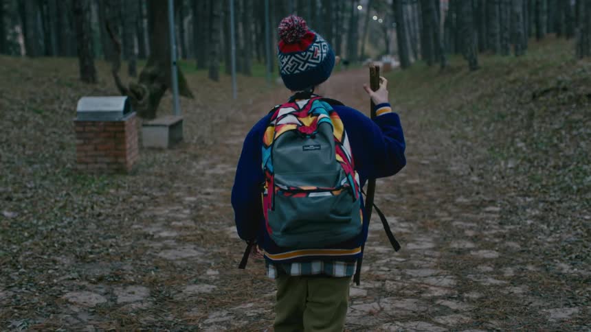 View of a little boy walking on a trail in the middle of a forest with forest