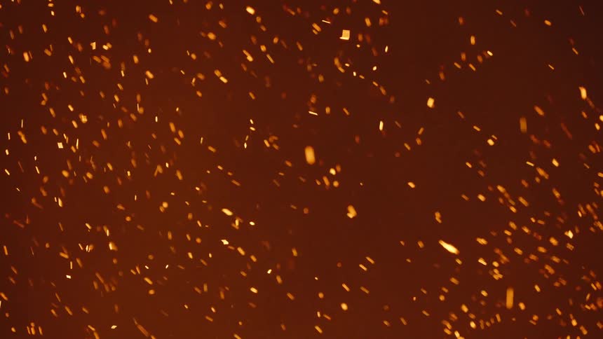 Glowing embers move as they rise in the smoke of a fire
