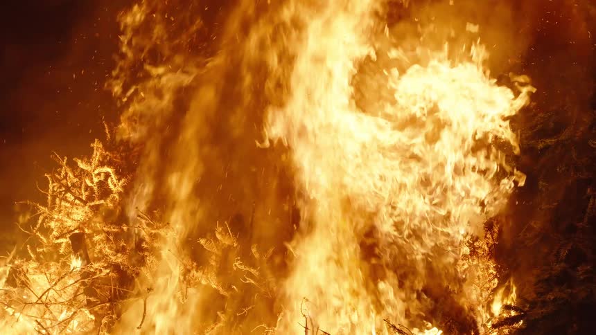 Trees burn in a raging forest fire as blazing flames rise in the darkness